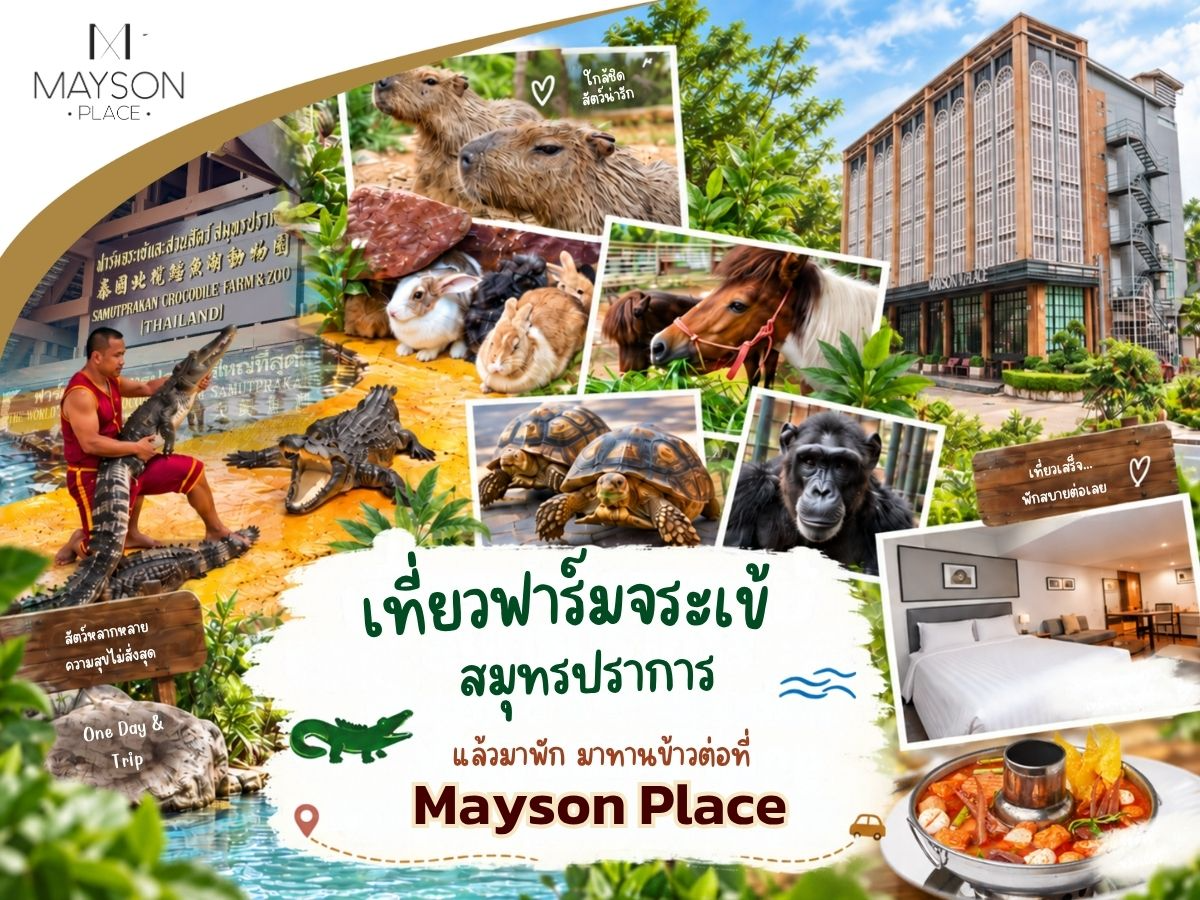เที่ยวฟาร์มจระเข้สมุทรปราการ แล้วมาพัก มาทานข้าวต่อที่ Mayson Place